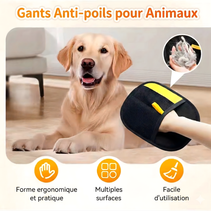 Gant anti-poils électrostatique | Coussinet Club™