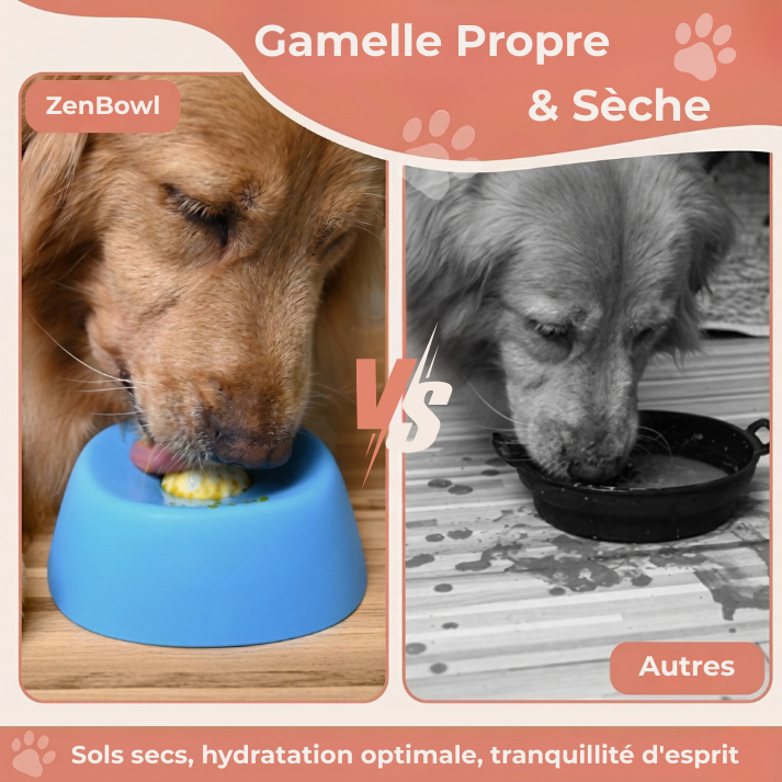 ZenBowl Gamelle Apaisante | Coussinet Club™