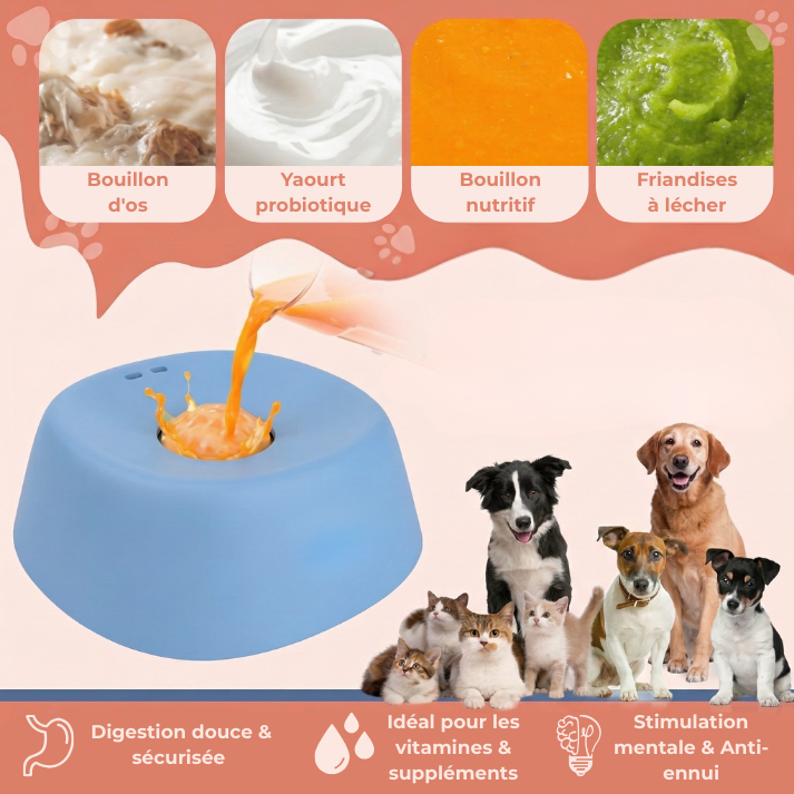 ZenBowl Gamelle Apaisante | Coussinet Club™