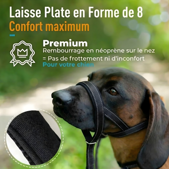 Laisse anti-traction | Coussinet Club™