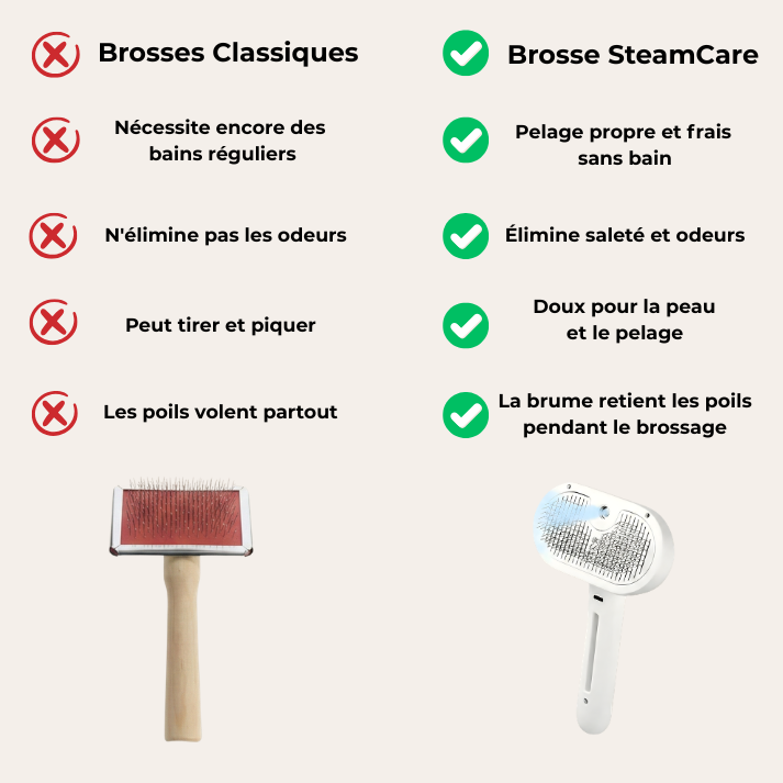 Brosse SteamCare | Coussinet Club™
