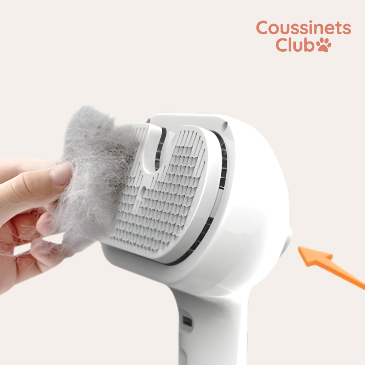 Brosse brumeuse apaisante | Coussinest Club™