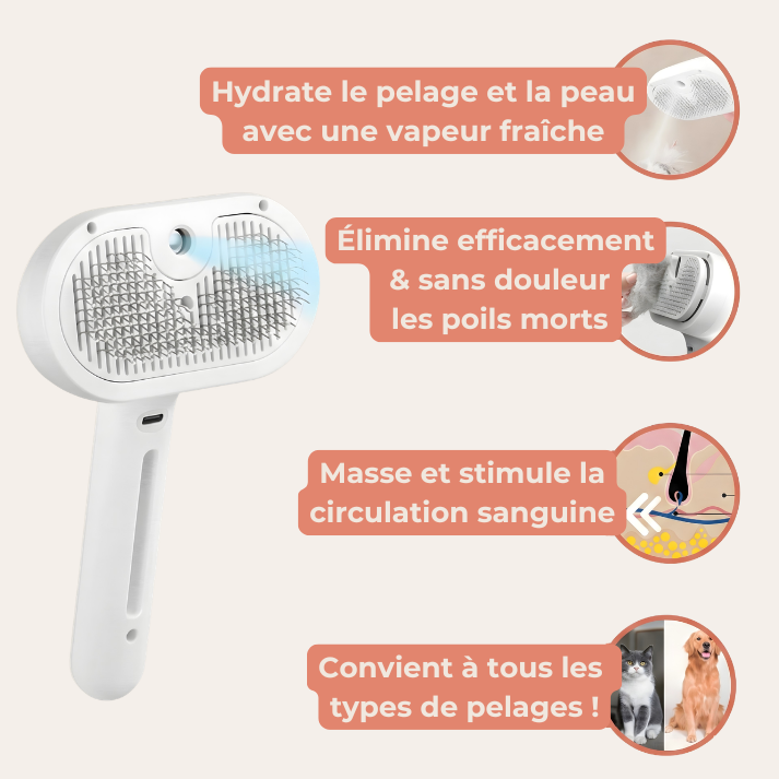 Brosse SteamCare | Coussinet Club™