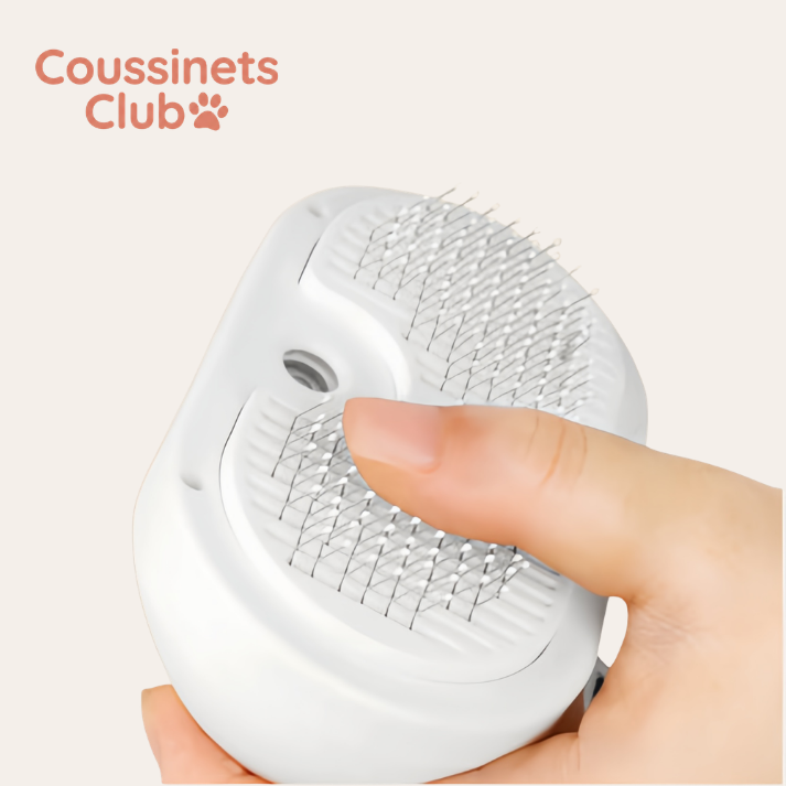 Brosse brumeuse apaisante | Coussinest Club™