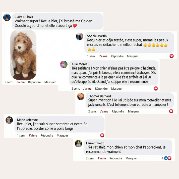 Brosse brumeuse apaisante | Coussinest Club™