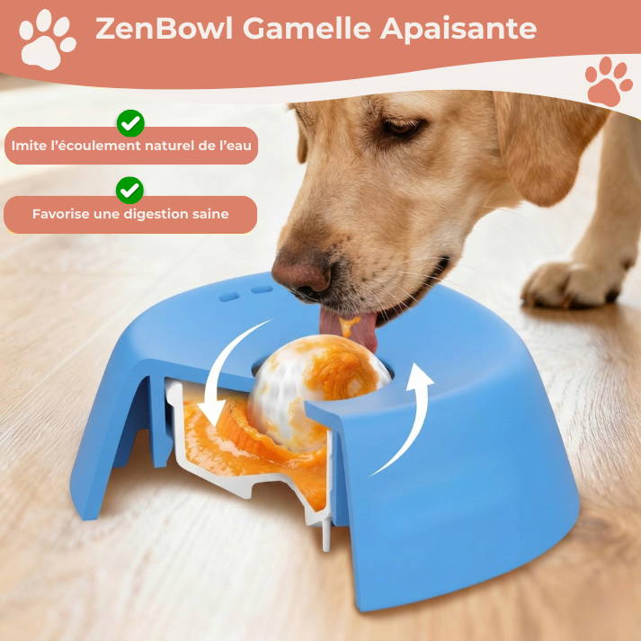 ZenBowl Gamelle Apaisante | Coussinet Club™