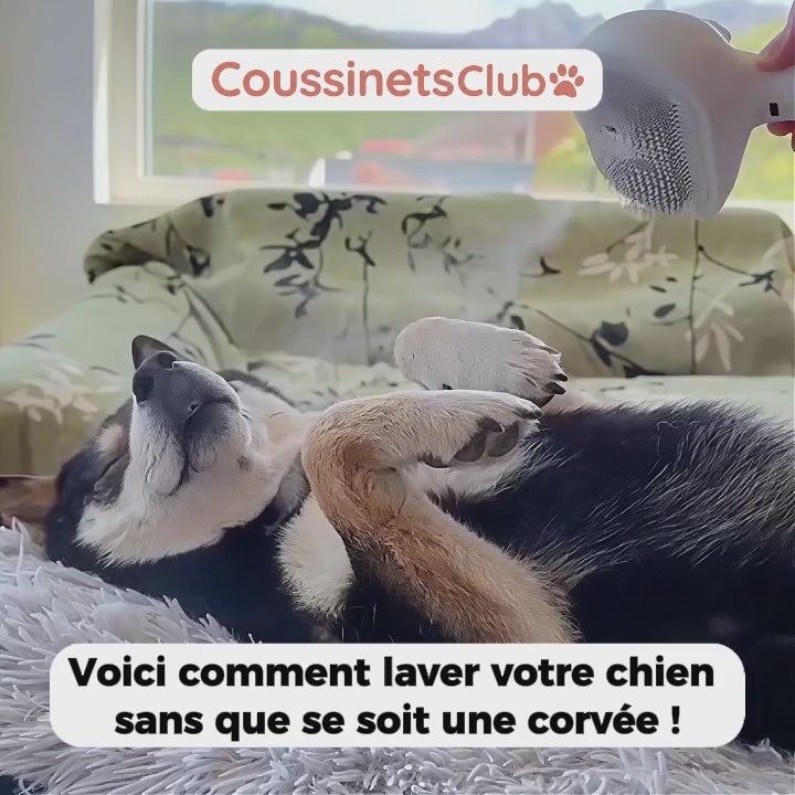 Brosse SteamCare | Coussinet Club™