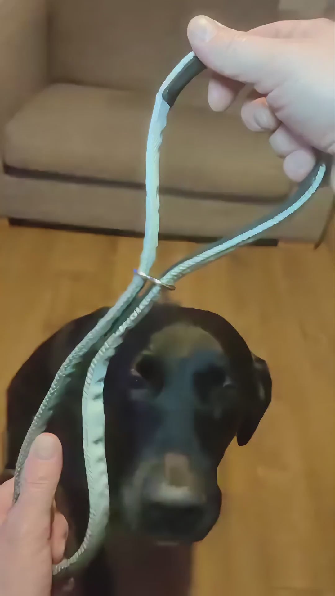 Vidéo