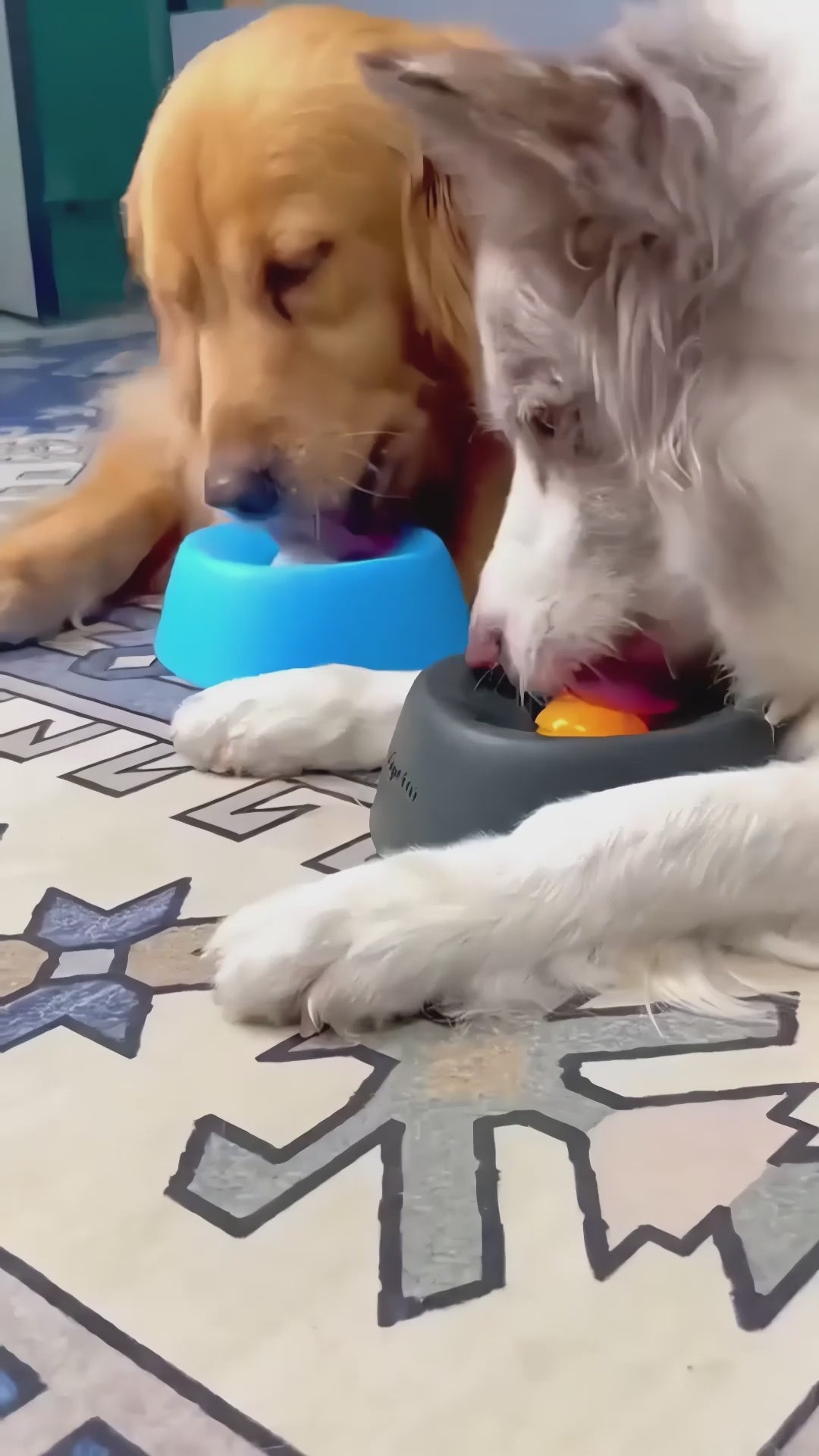 Vidéo