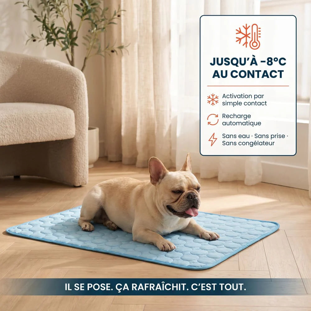 Tapis rafraîchissant pour chien sans gel | Coussinets Club™