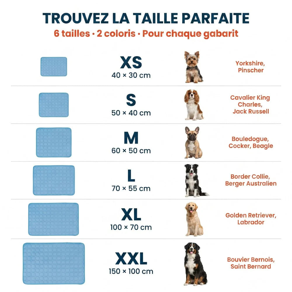 Tapis rafraîchissant pour chien sans gel | Coussinets Club™